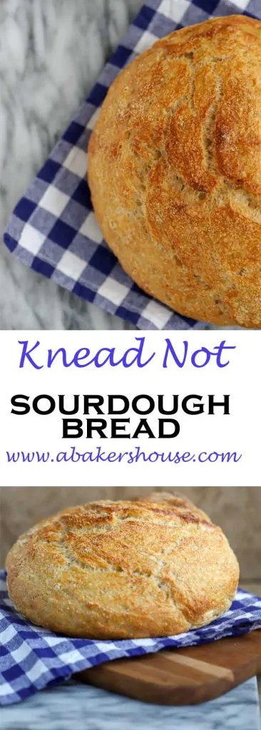 Long Pin Knead Not Bread