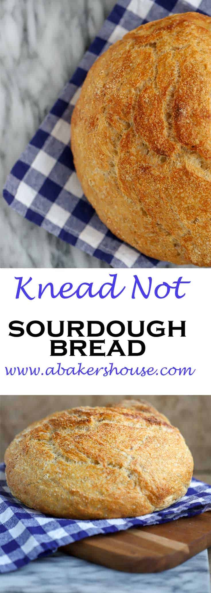 Easy No Knead Sourdough Bread (Alton Brown recipe) A Baker's House