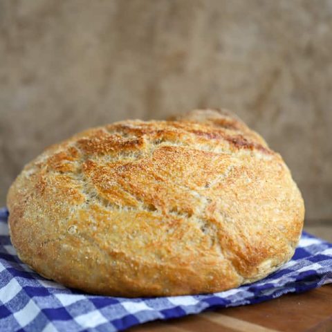 Knead Not Sourdough Bread