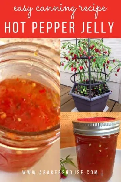 Pinterest image with three photos of hot pepper jelly