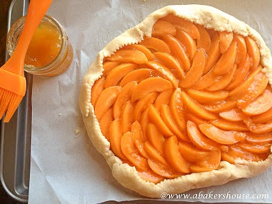 apricot galette before baking