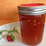 hot pepper homemade jelly