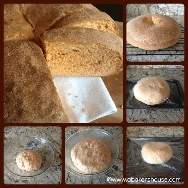 how to make tomato basil bread step by step photo collage with six images