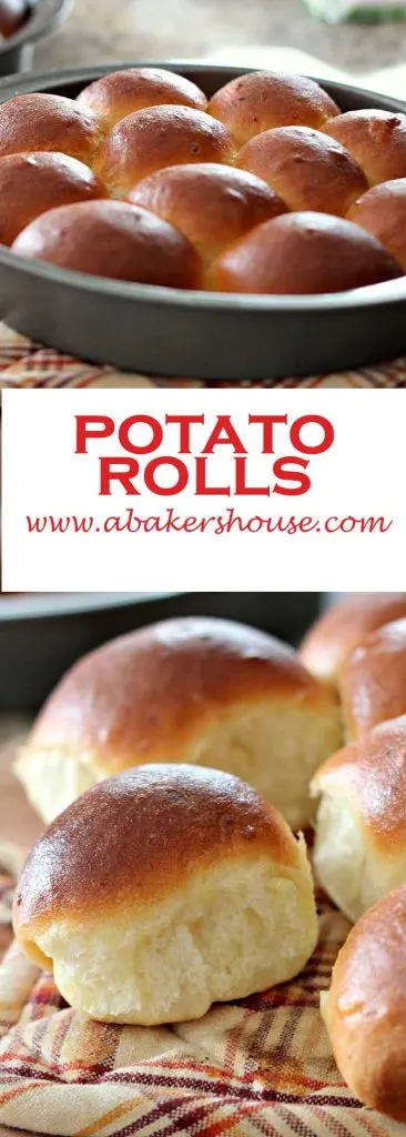 two photos of homemade potato rolls- a dozen in the pan plus a close up of a single roll