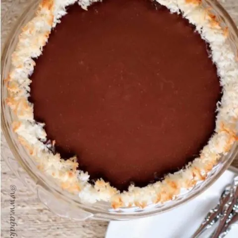 Overhead photo of chocolate and coconut pie