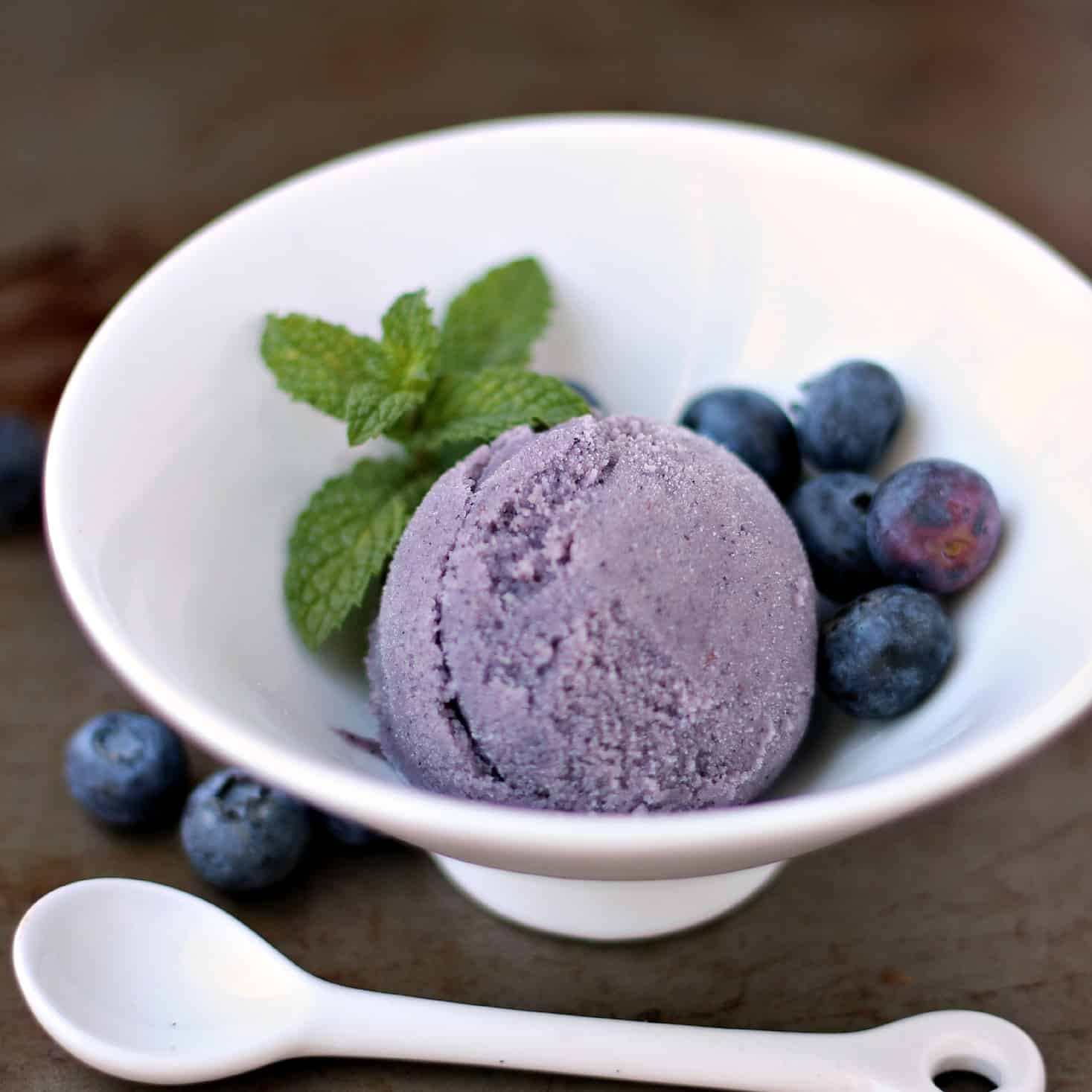 white bowl with blueberry gelato