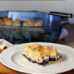 blueberry coconut squares