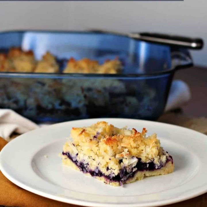 blueberry coconut squares