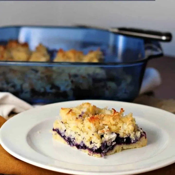 blueberry coconut squares