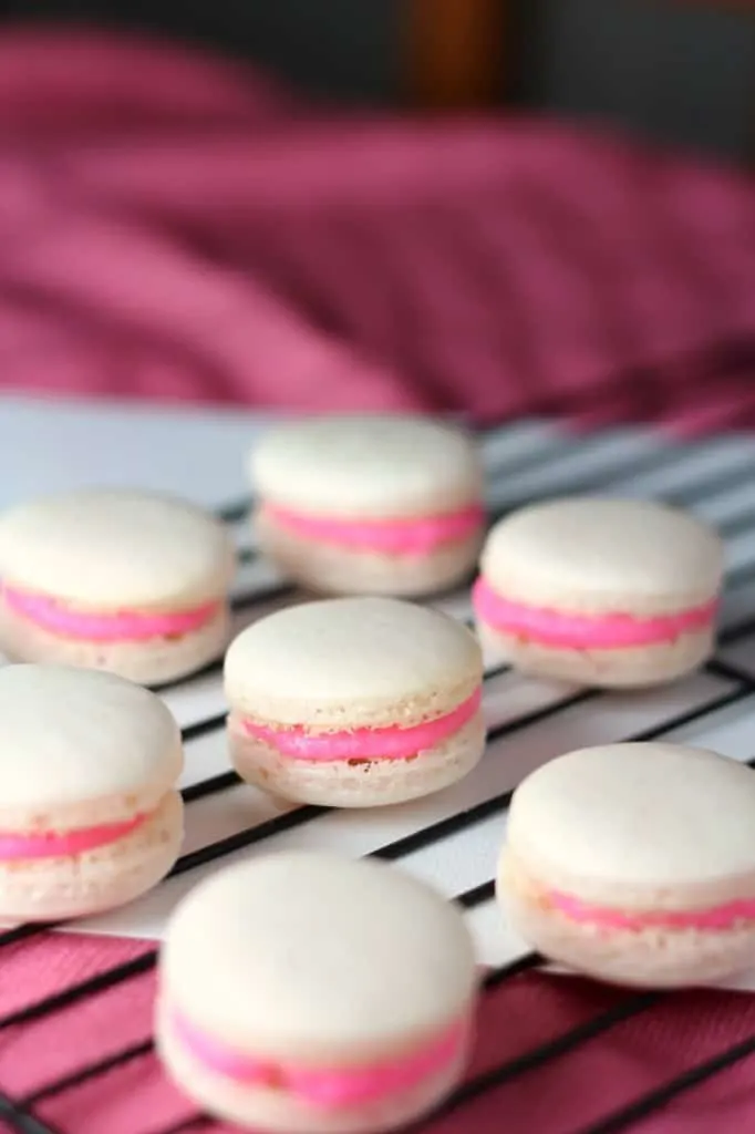 seven macarons filled with bright pink buttercream