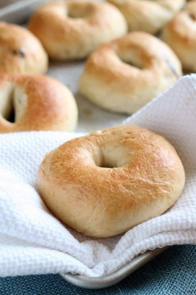 Homemade blueberry bagels on white towel