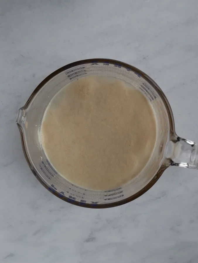 yeast and water mixture