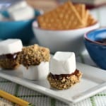 smores bites