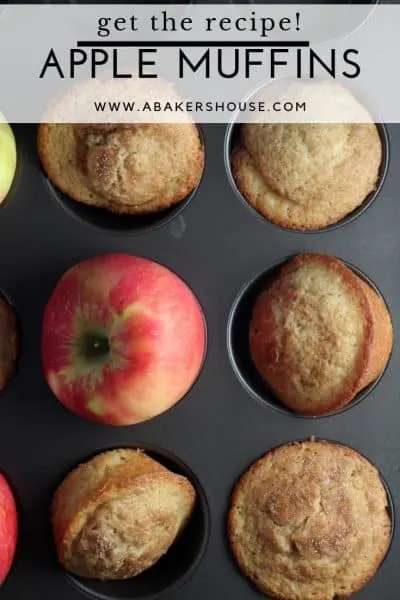 Apple cider muffins in muffin tin with apples with title text overlay