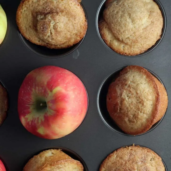 Apple cider muffins in muffin tin with apple