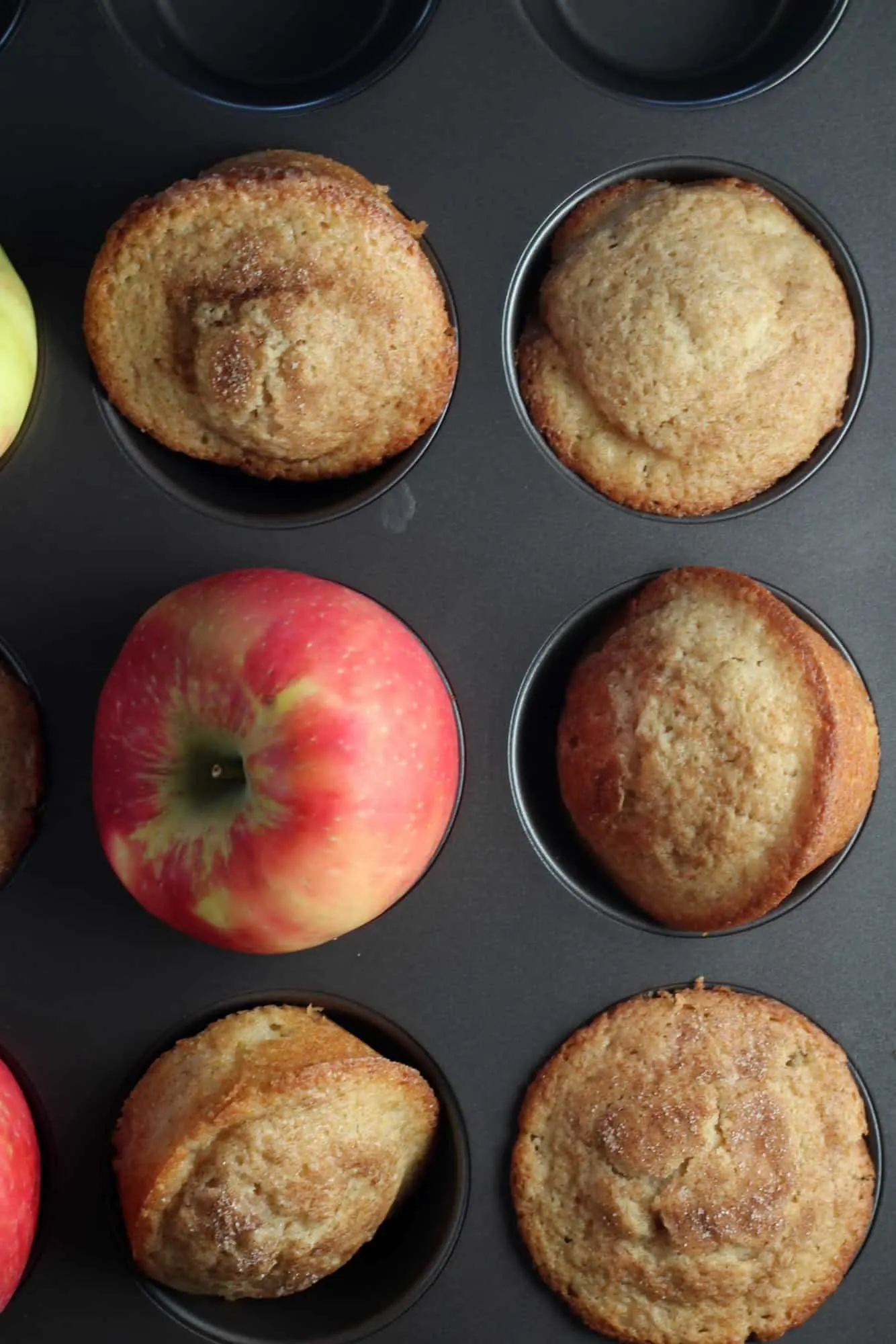 Apple cider muffins in muffin tin with apple
