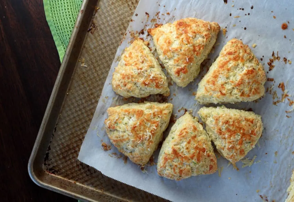cheese scones baked in a circle on a baking tray and parchment