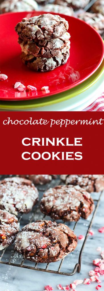 Chocolate Peppermint Crinkle Cookies