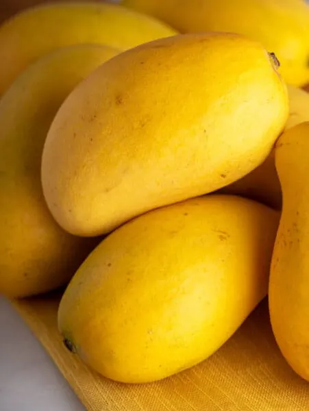 Ataulfo mango honey mango in a pile