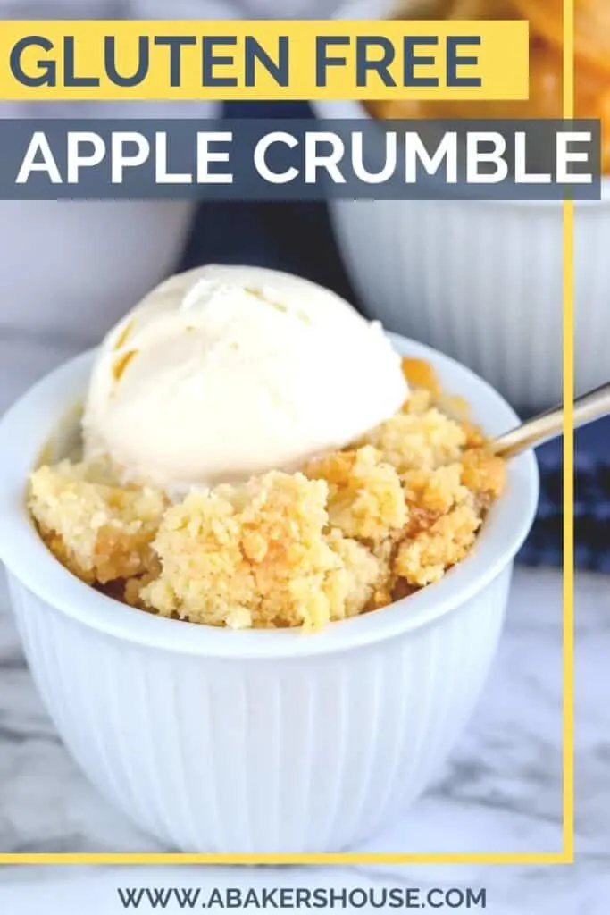 Gluten free apple crumble with gluten free crumble topping in white bowl with vanilla ice cream