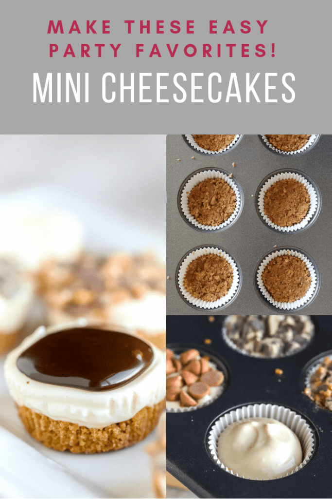 Pin with collage of photos showing how to make no bake cheesecake bites