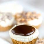 no bake cheesecake bites with chocolate topping