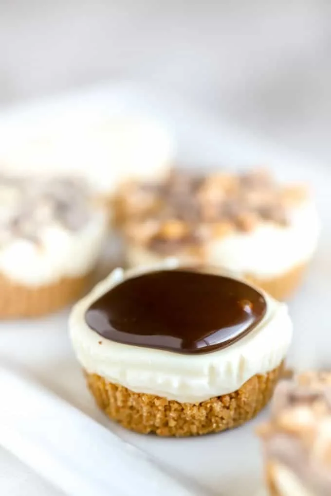no bake cheesecake bites with chocolate topping
