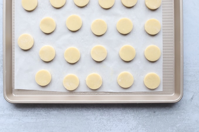 Circles of sugar cookies on baking sheet before baking