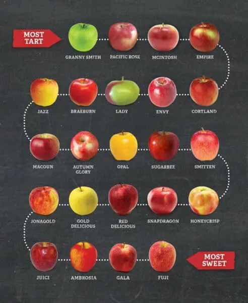 Apple graphic showing different kinds of apples