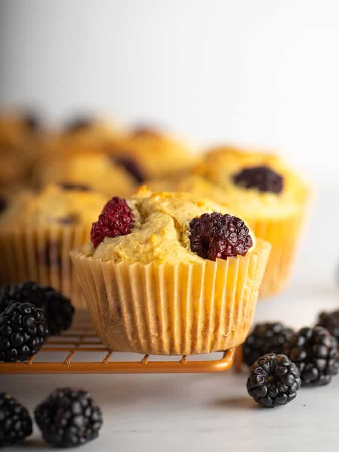 blackberry vegan muffins made with oatyeah oatmilk