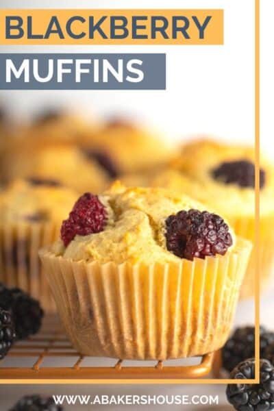 Pinterest Blackberry muffins with text overlay