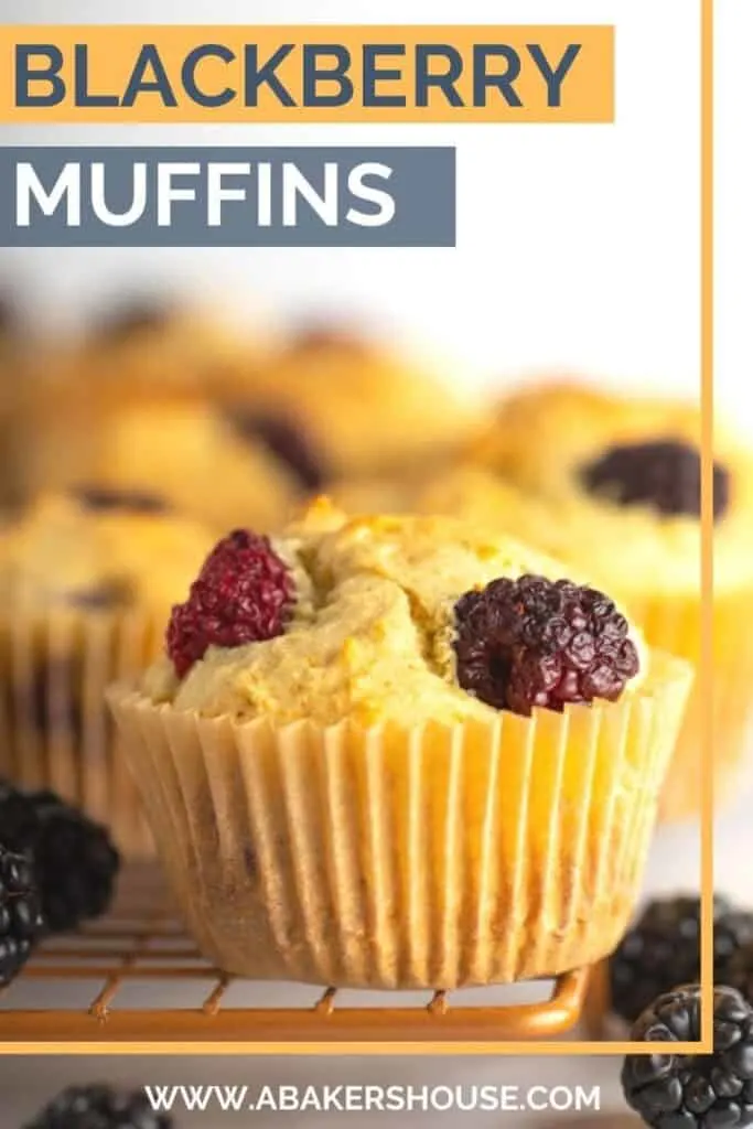 Pinterest Blackberry muffins with text overlay