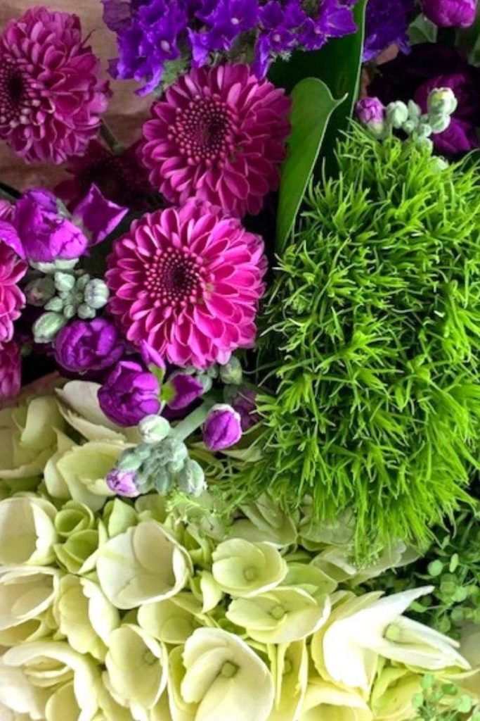 assorted flowers in green, purple and pink shades