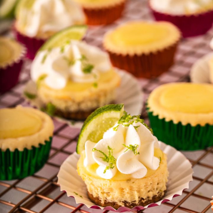 small cheesecake bites with lime and whipped cream