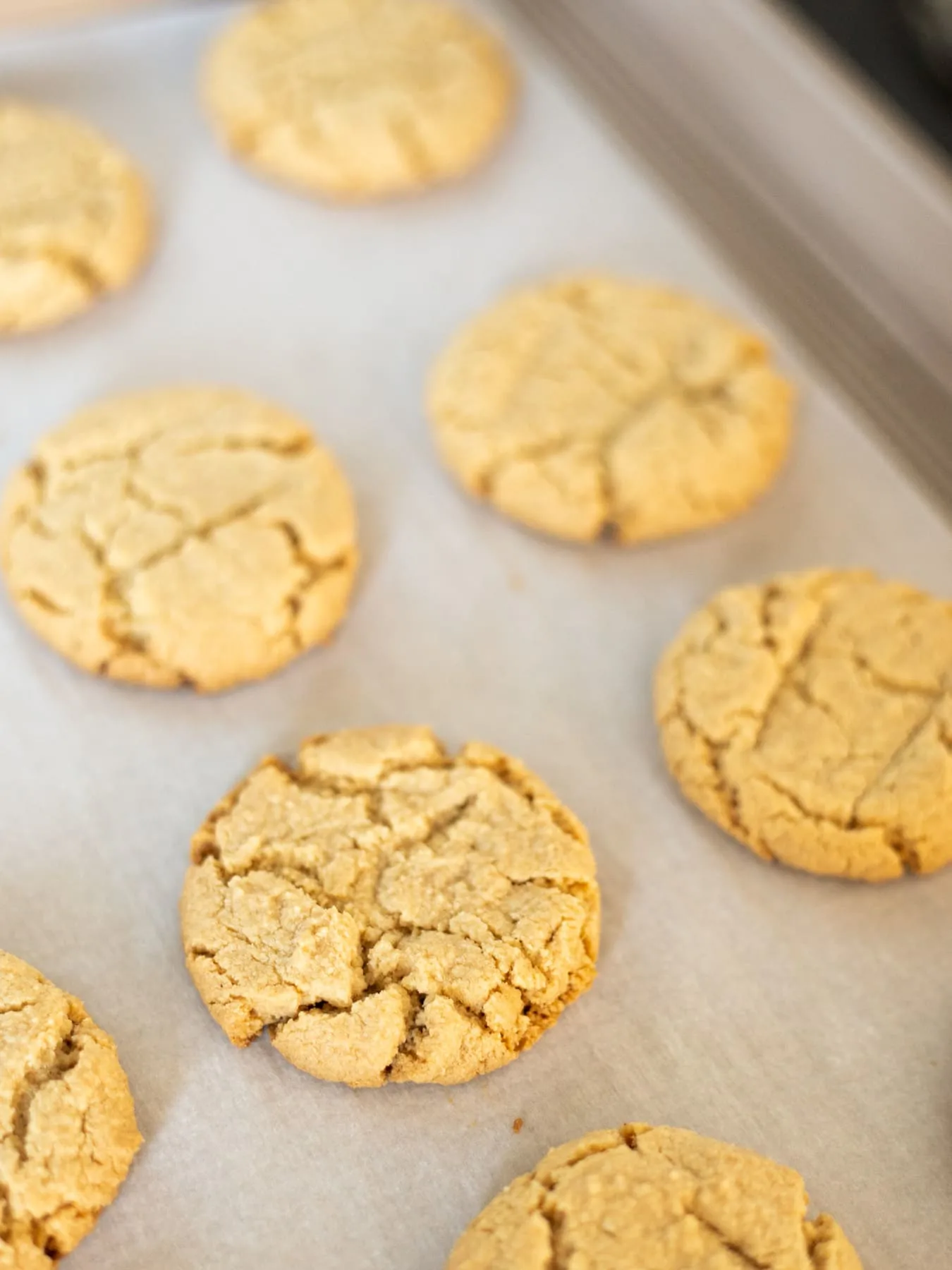 peanut butter cookies on white parchment on baking sheet